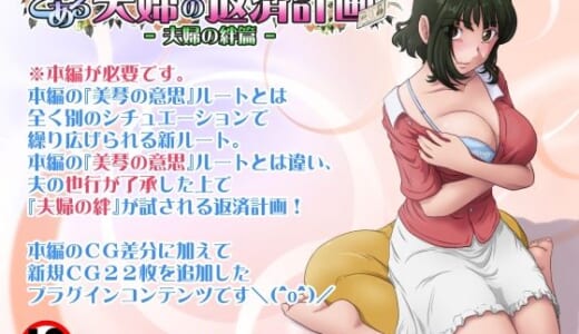 同人ゲーム:とある夫婦の返済計画ー夫婦の絆篇ー