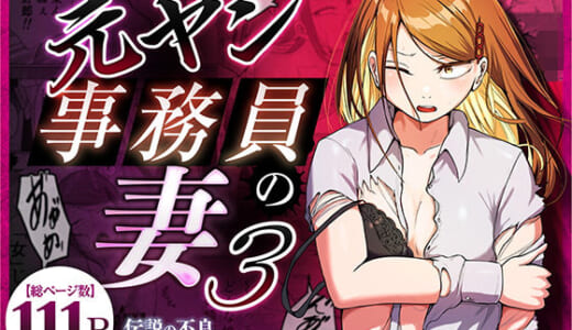 同人誌:元ヤン事務員の妻3〜伝説のレディース、色欲の果て〜